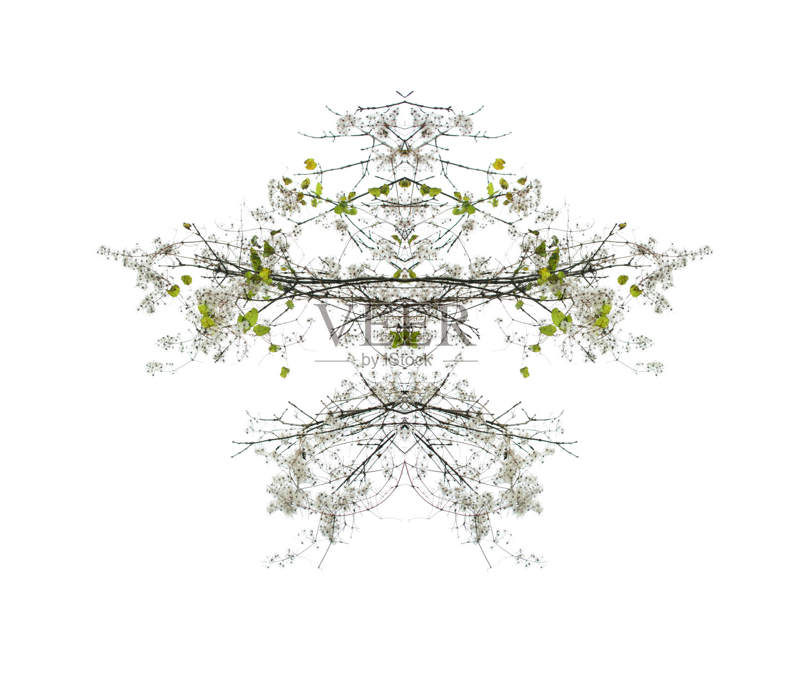 自然的镜子的季节照片摄影图片