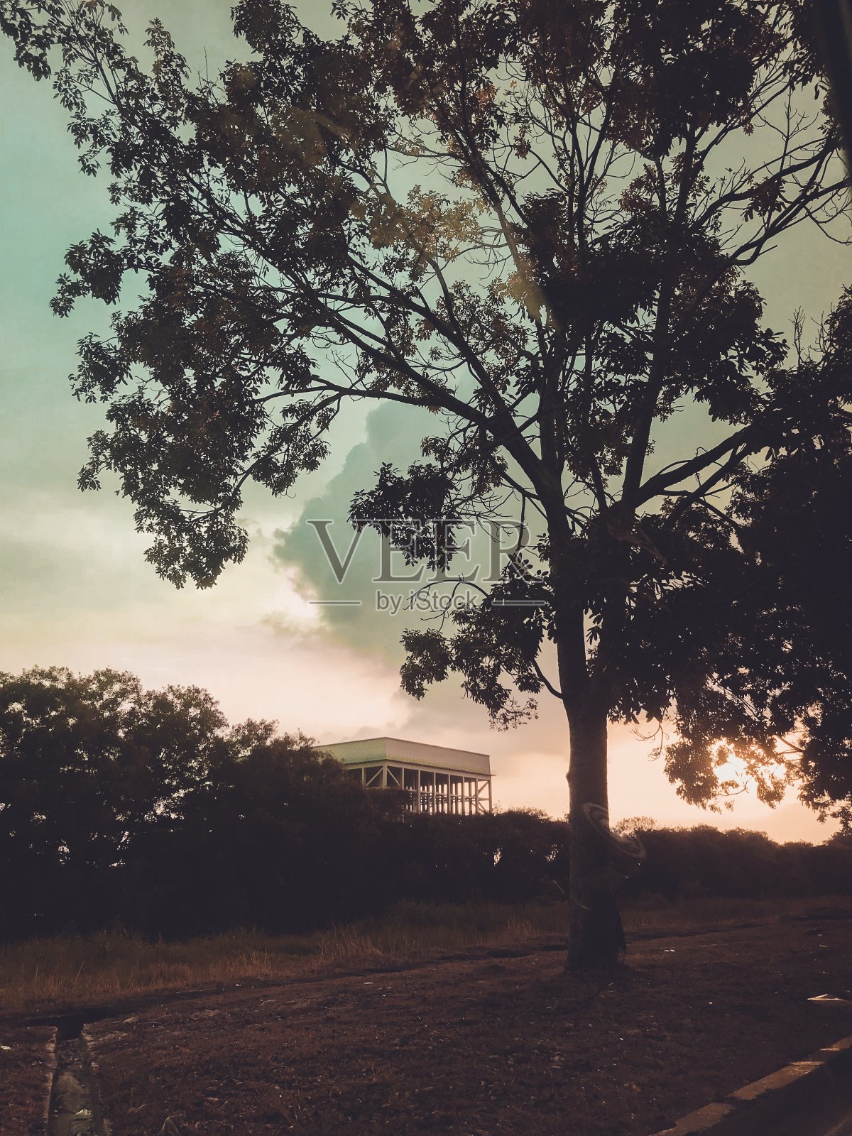 《暮光之城》照片摄影图片