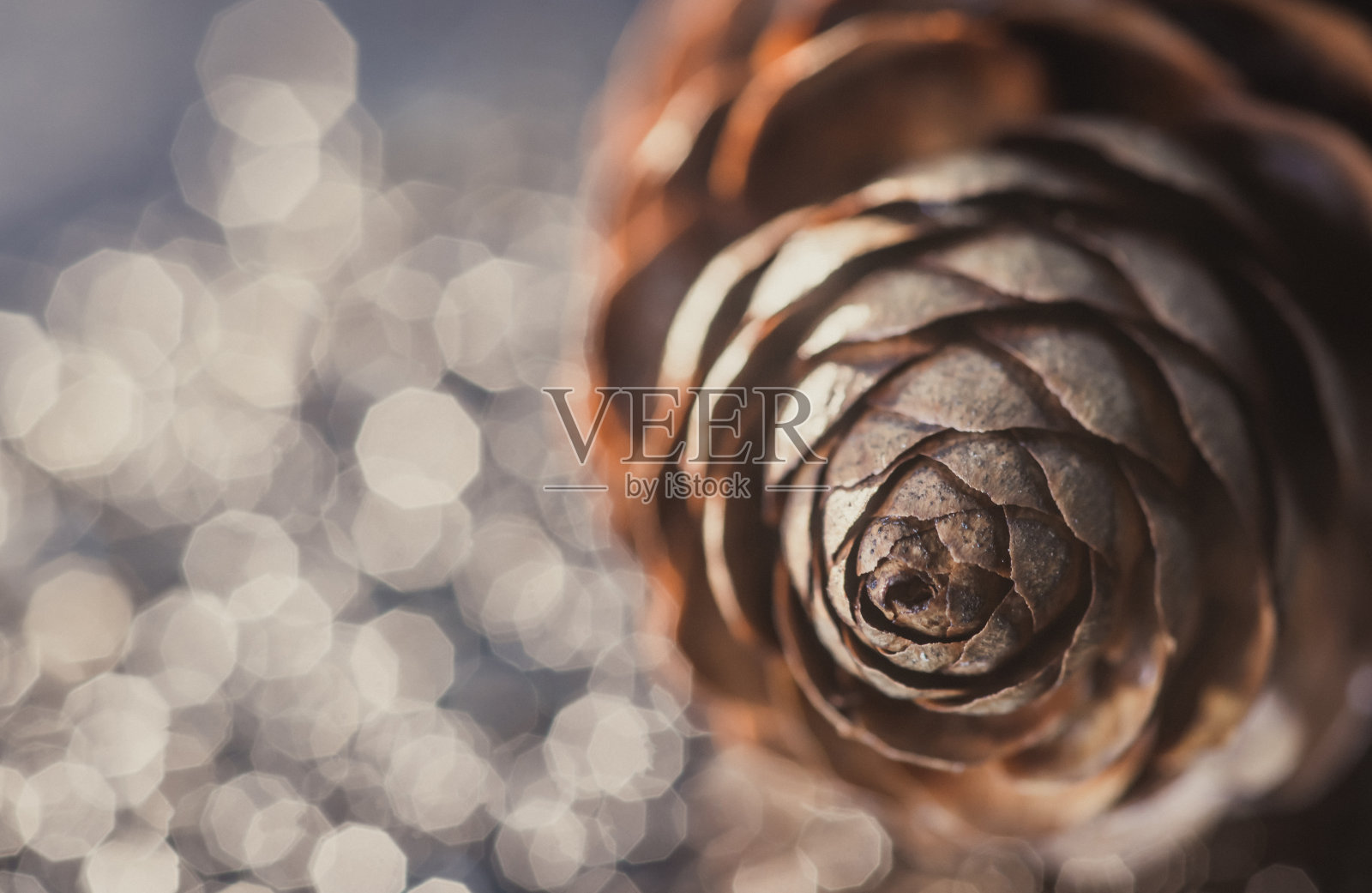 一个干燥的棕色松果的特写，在银色光泽的背景上。松果在闪闪发光的冬霜背景上。圣诞树装饰品照片摄影图片