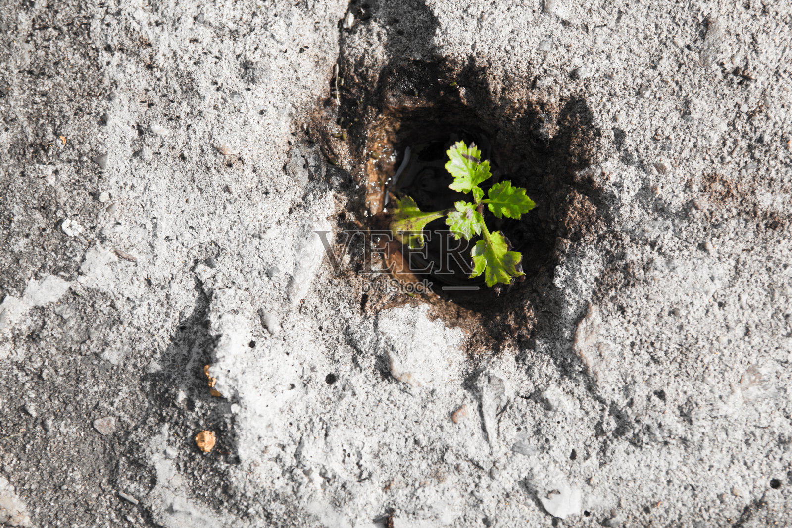 重要的力量照片摄影图片