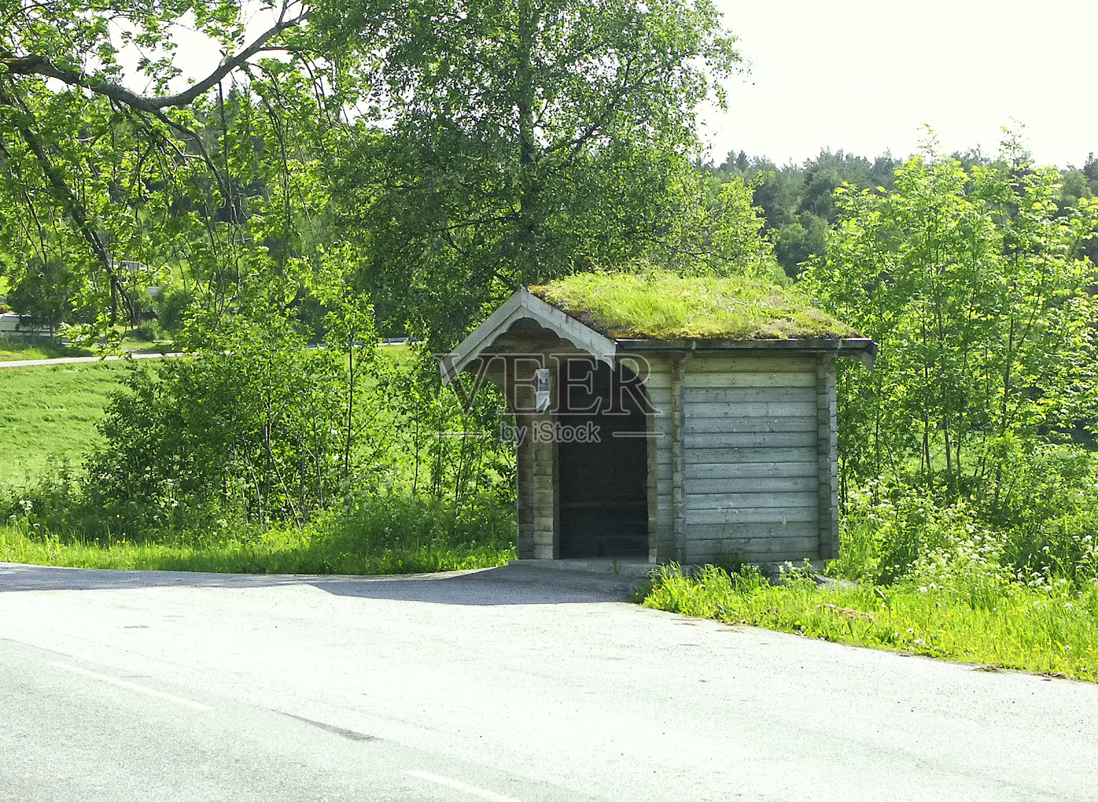 挪威有绿色屋顶的公交车站照片摄影图片