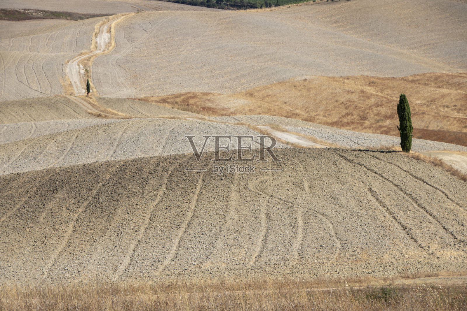 瓦尔德奥西亚，博士照片摄影图片