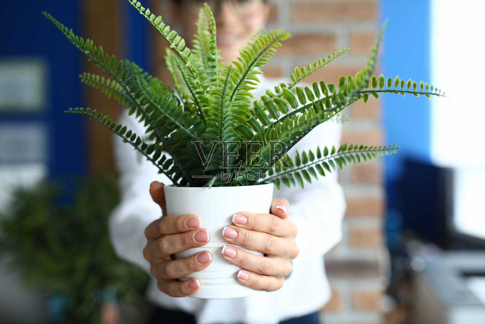 女人捧着花盆，手里拿着花照片摄影图片
