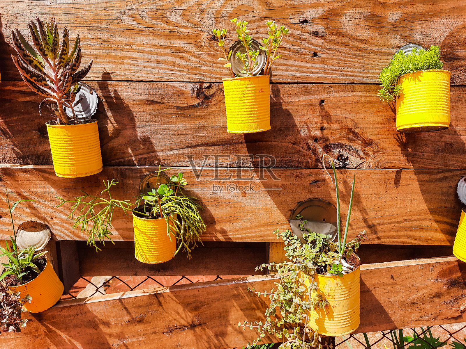 即兴锅照片摄影图片