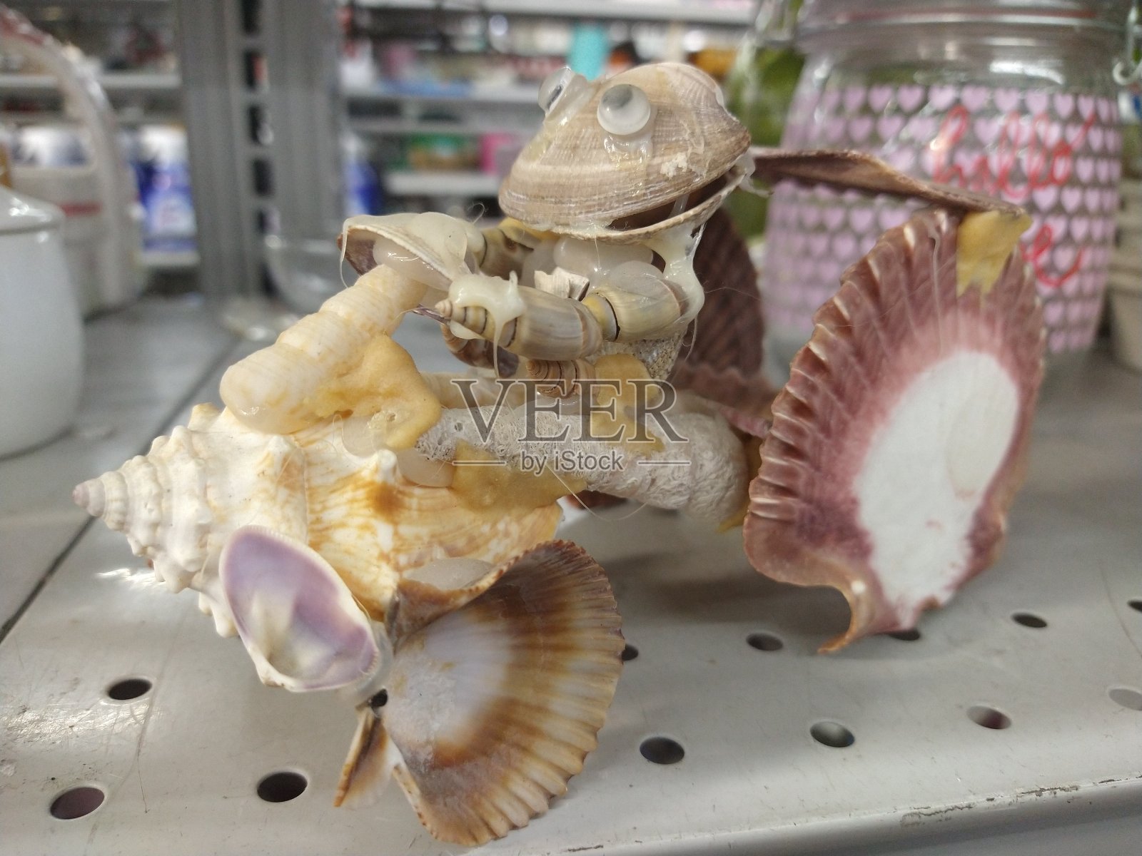 壳牌骑照片摄影图片