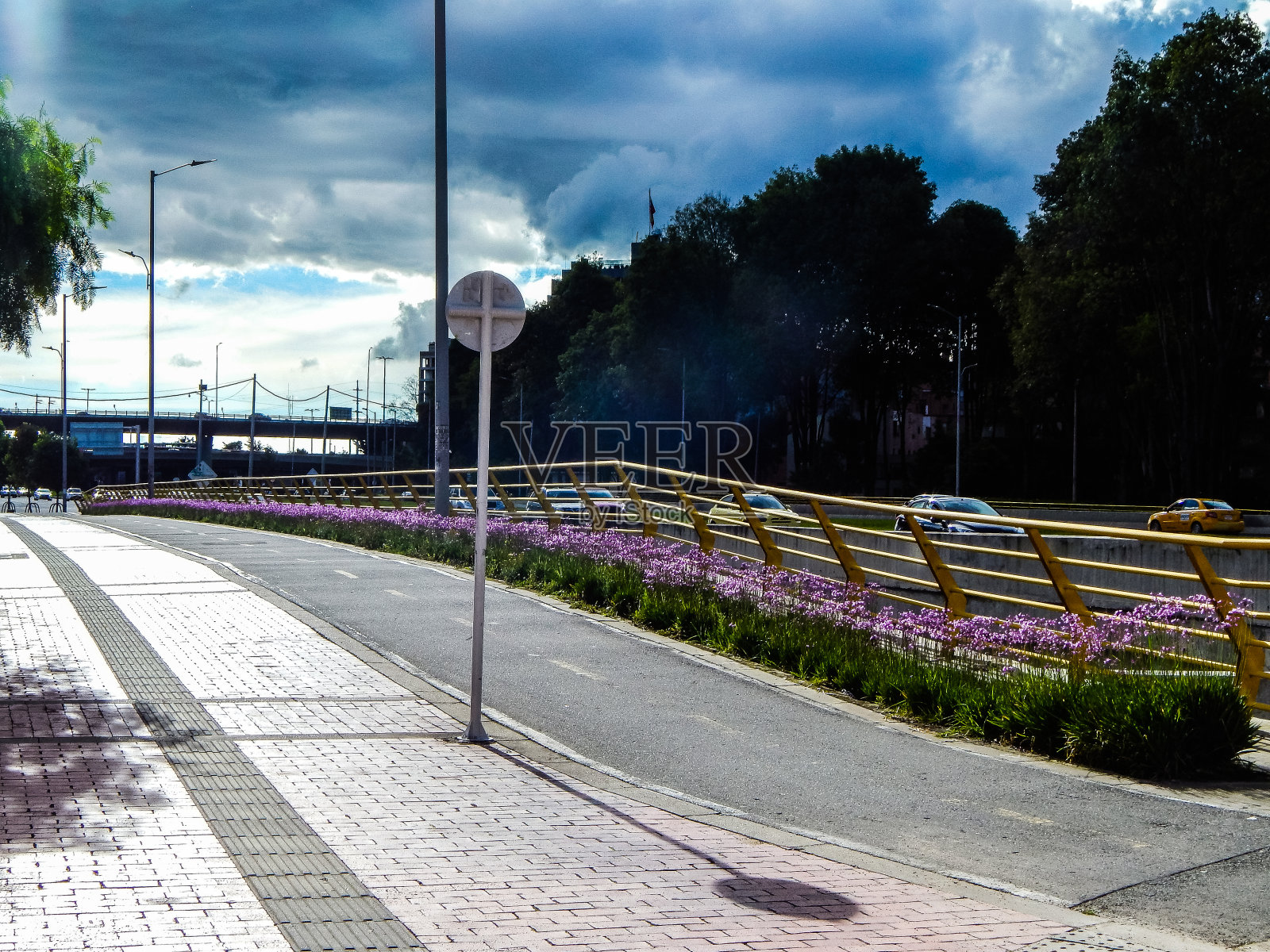 波哥大的自行车道，一边是鲜花(cicloruta)照片摄影图片