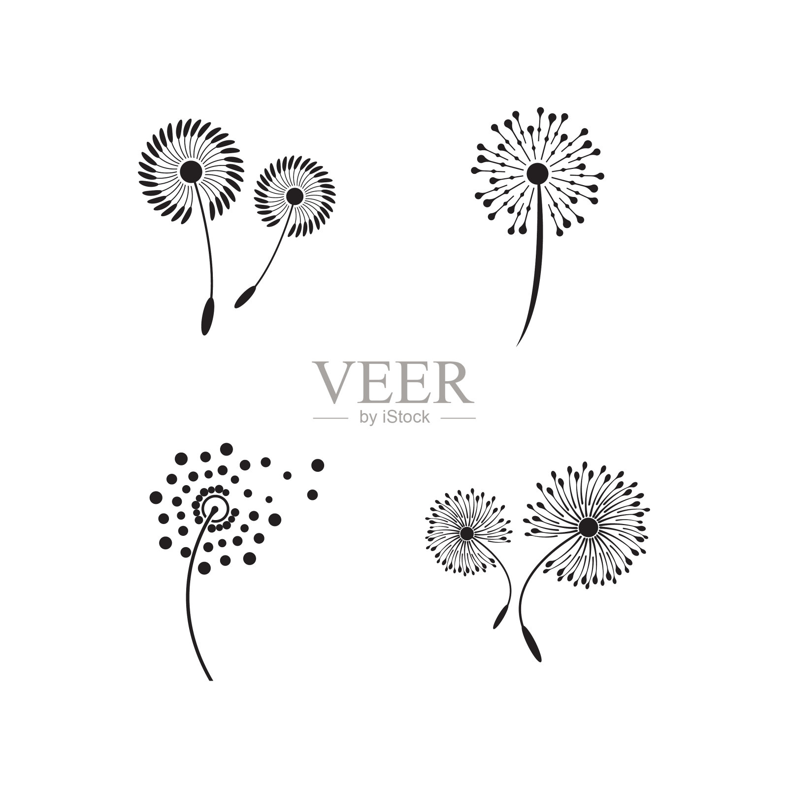 设置蒲公英图标设计插画图片素材