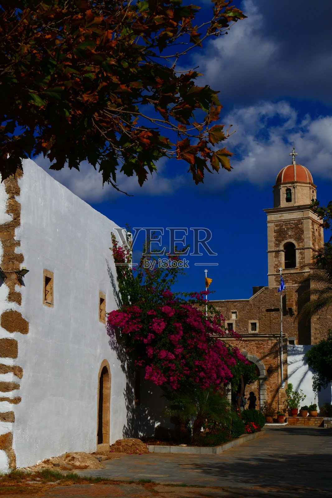 莫尼top10照片摄影图片