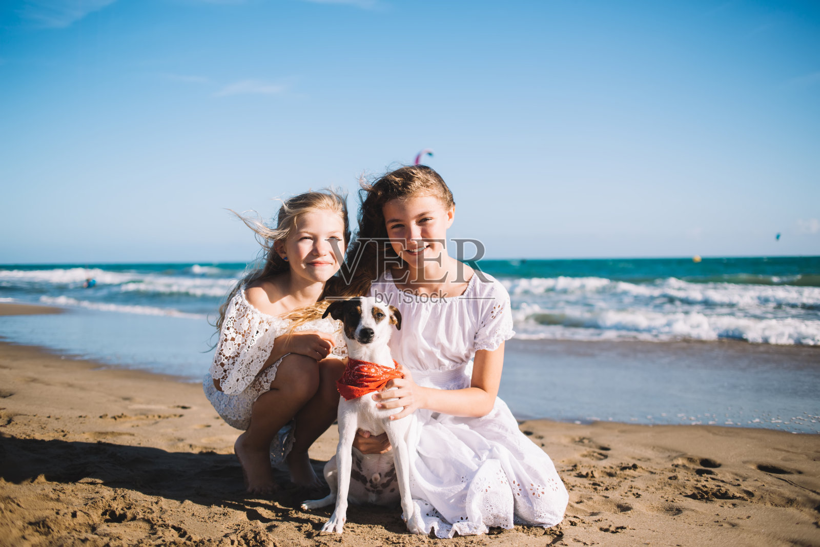 海滩上欢快的女孩和有趣的狗照片摄影图片