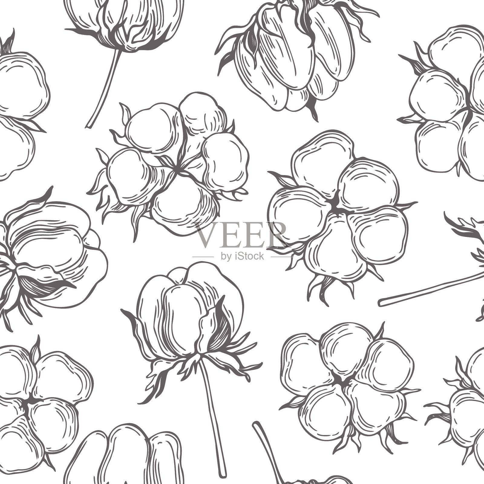 无缝图案与手绘棉花植物插画图片素材