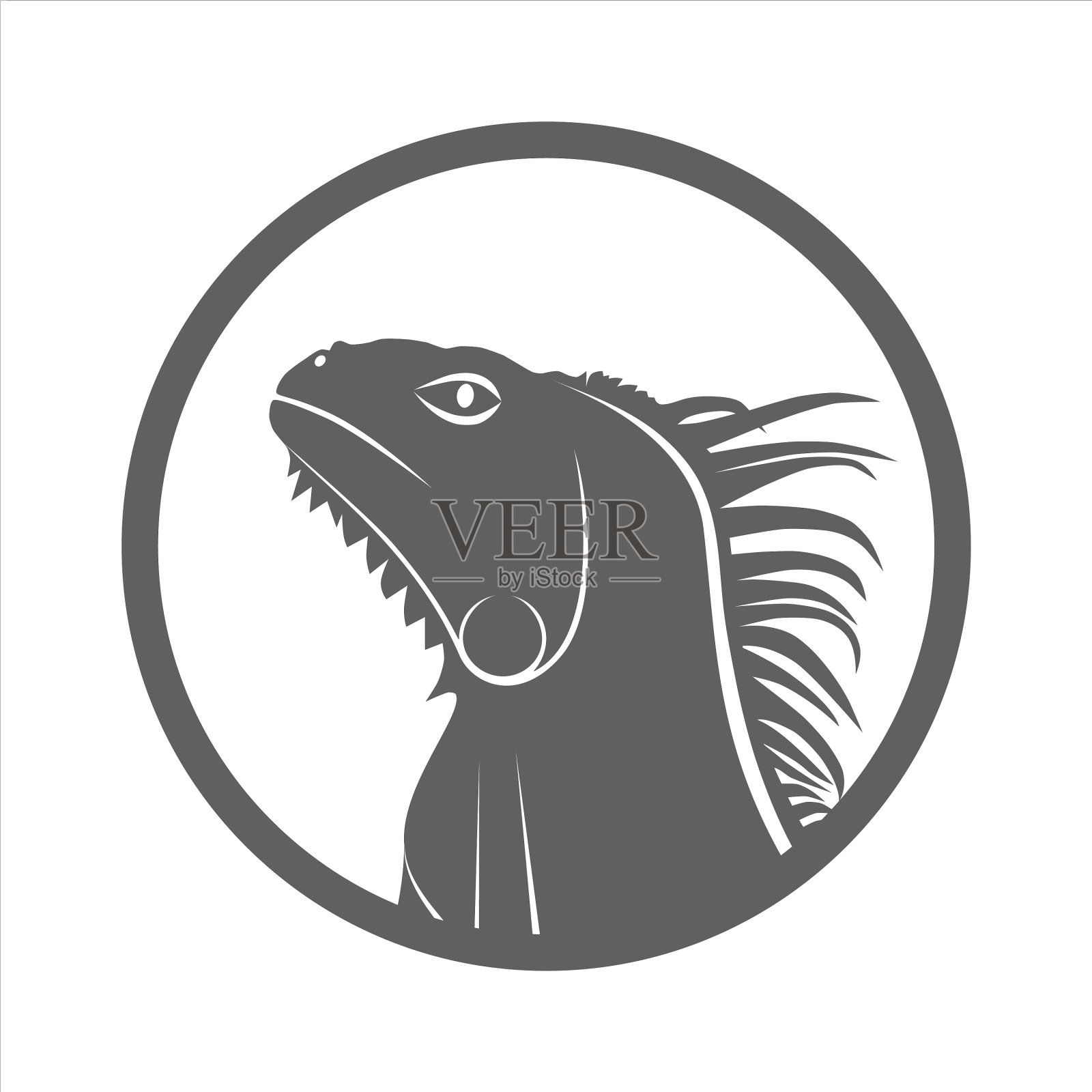 鬣蜥的头插画图片素材