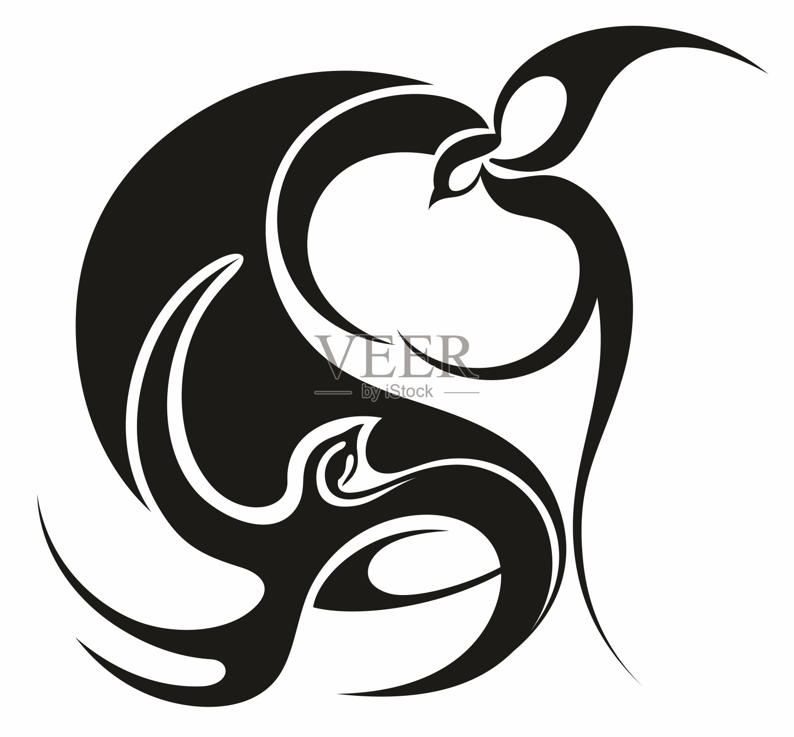 鸟插画图片素材