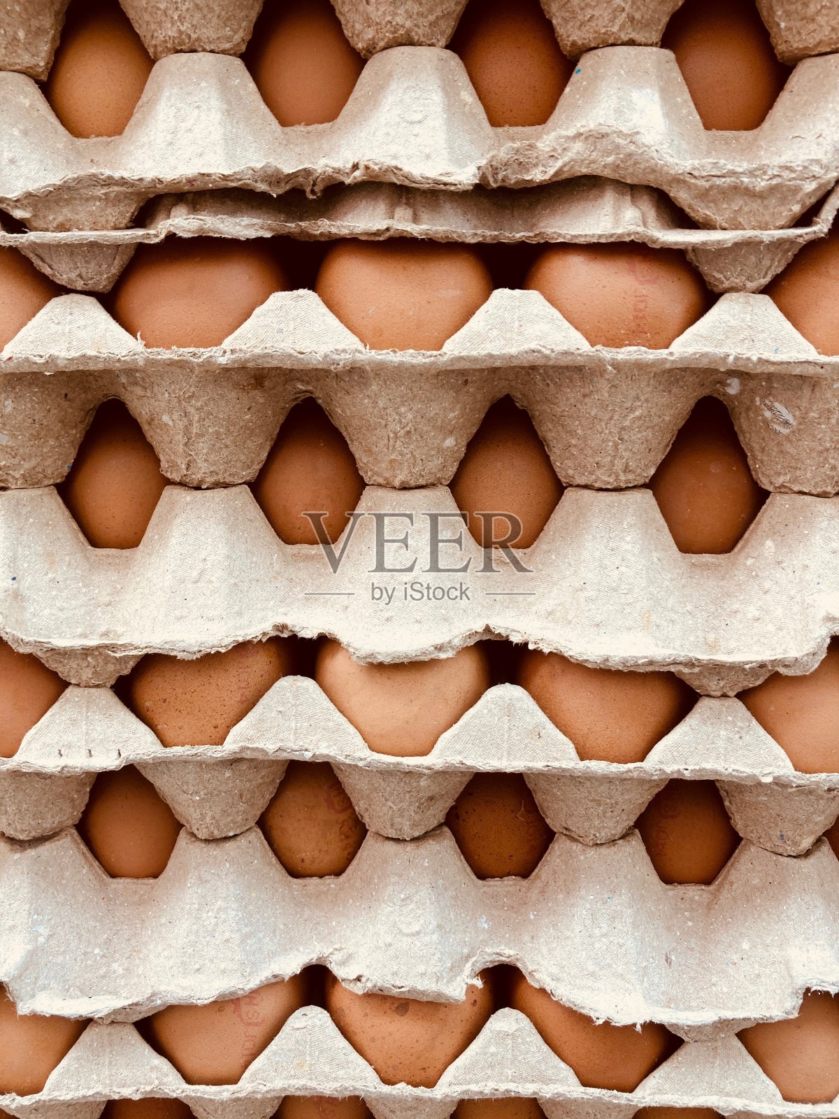 鸡蛋照片摄影图片