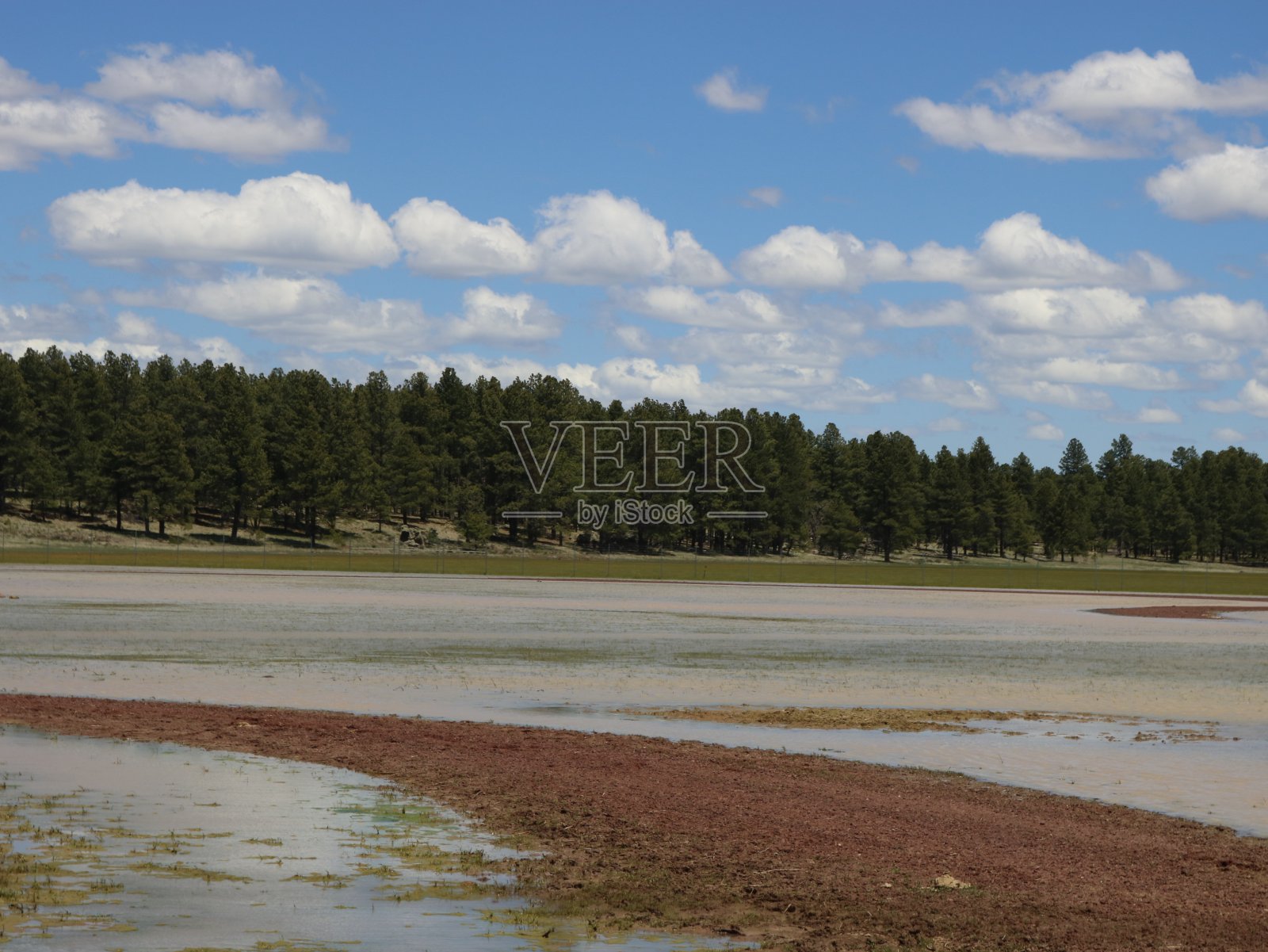 景深照片摄影图片