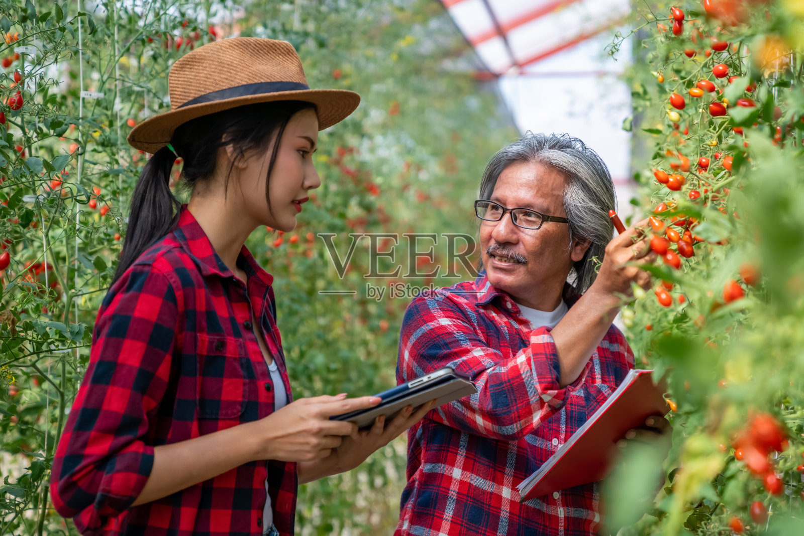 年轻的亚洲女性与资深男性农民使用数字平板电脑检查有机樱桃番茄或网上订购在温室花园。聪明的农民使用技术的农产品和网上销售。照片摄影图片
