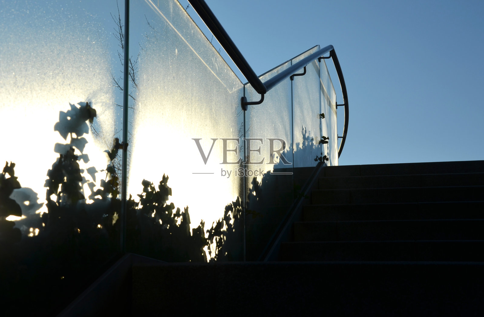 常春藤围绕着房子附近的玻璃栏杆。必须用刀把它压下去，否则它就会越爬越高。楼梯旁的玻璃作栏杆和栅栏。清晨结霜照片摄影图片