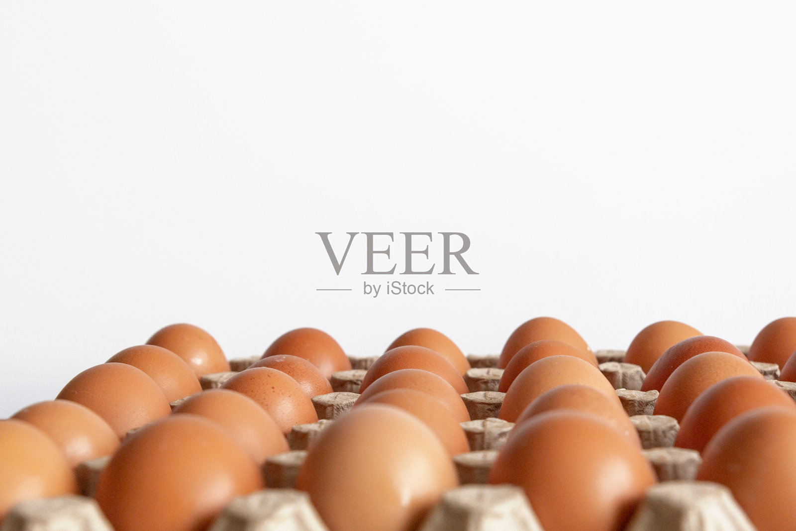 白色背景下分离的棕色鸡蛋细胞照片摄影图片