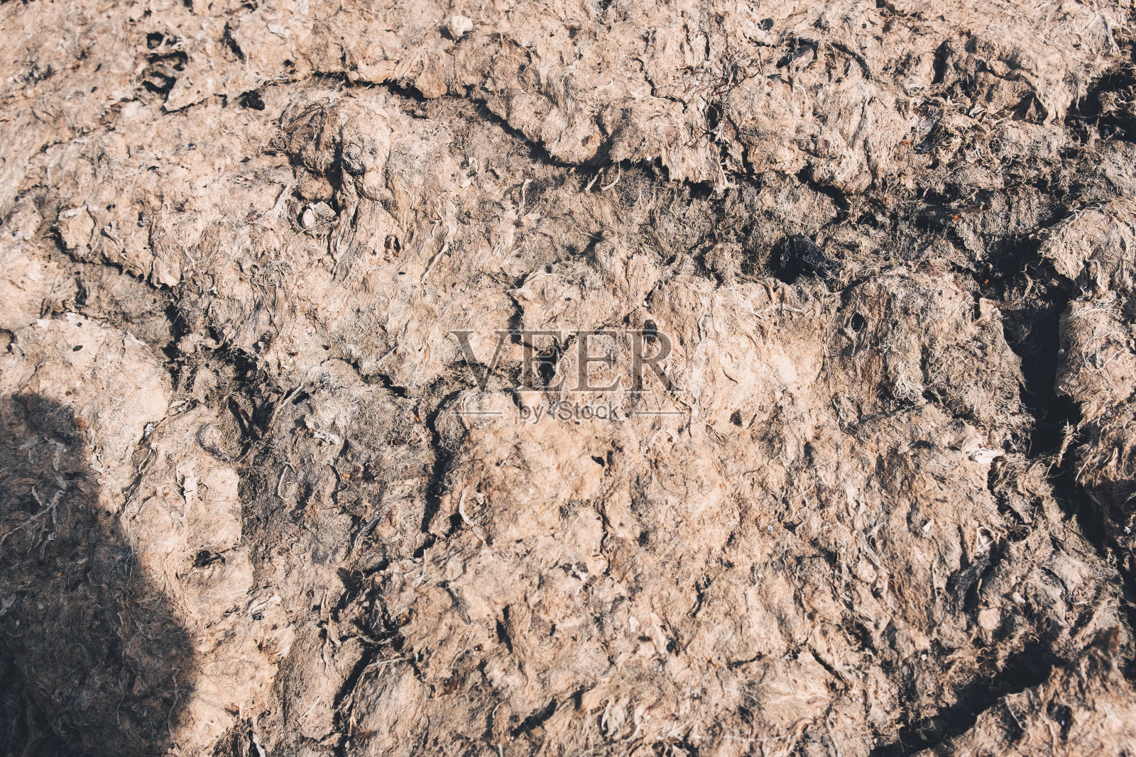 干海泥的纹理照片摄影图片