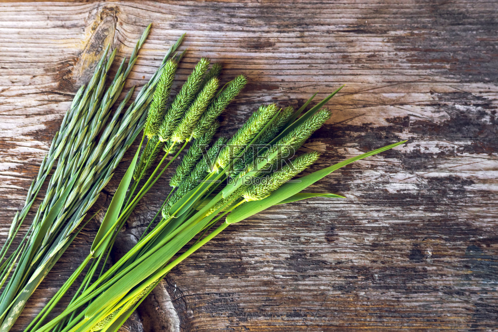 绿色的草在一个古老的木制背景上。前视图。照片摄影图片