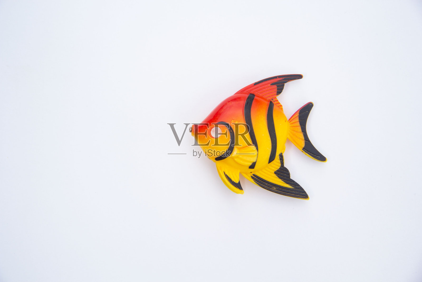 白色背景上长鳍的塑料鱼玩具。衬衫的嘴里有一块磁铁照片摄影图片
