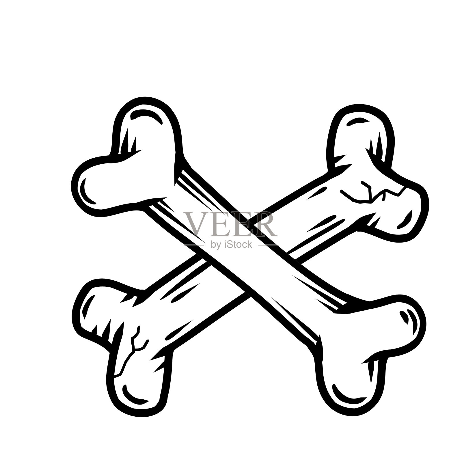 两条交叉的骨头。人类骨骼的一部分。白狗玩具插画图片素材