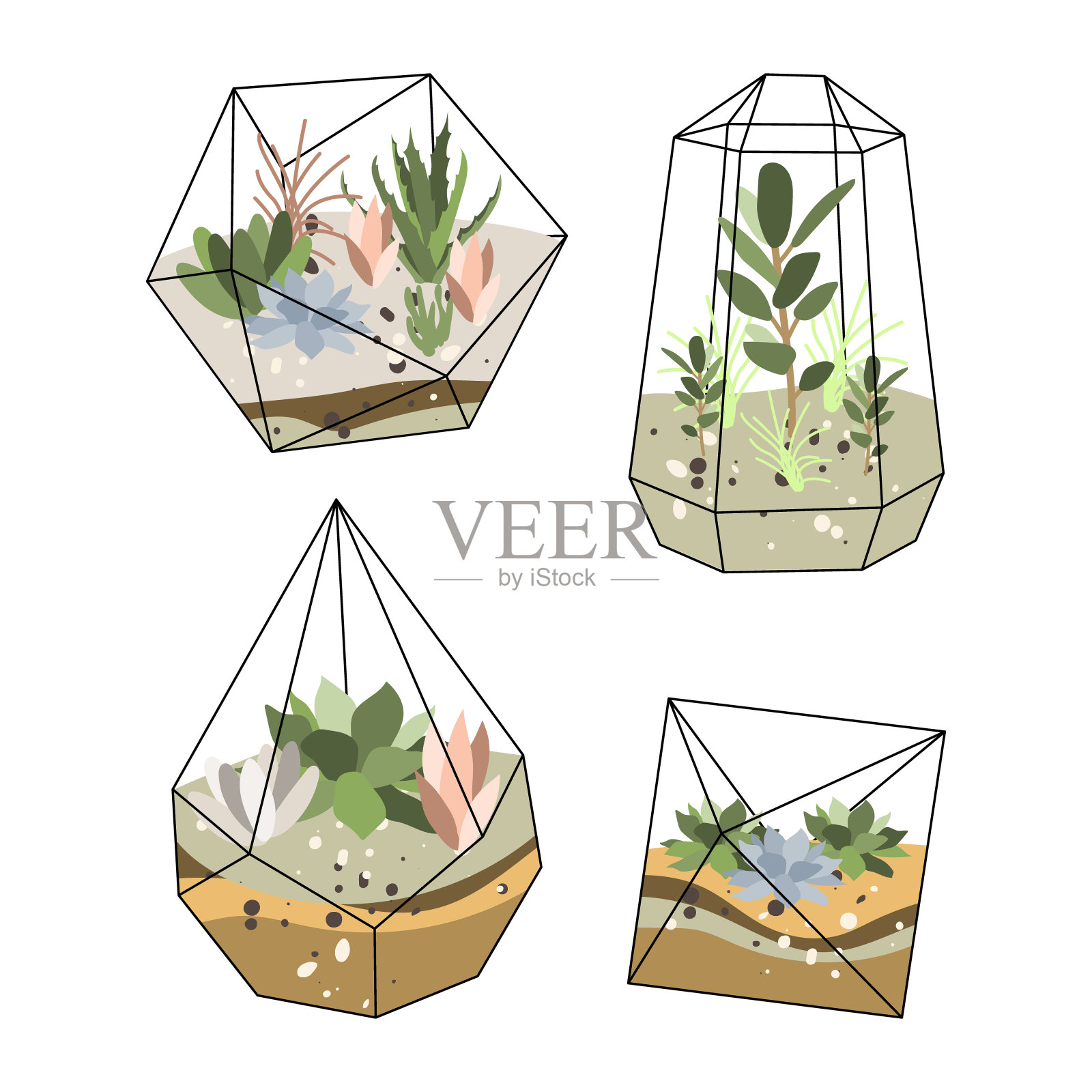 Florarium、玻璃花瓶。多肉植物和仙人掌在几何玻璃花盆。花园在瓶子，diy几何盆景，微型生态系统。矢量平面卡通插图插画图片素材