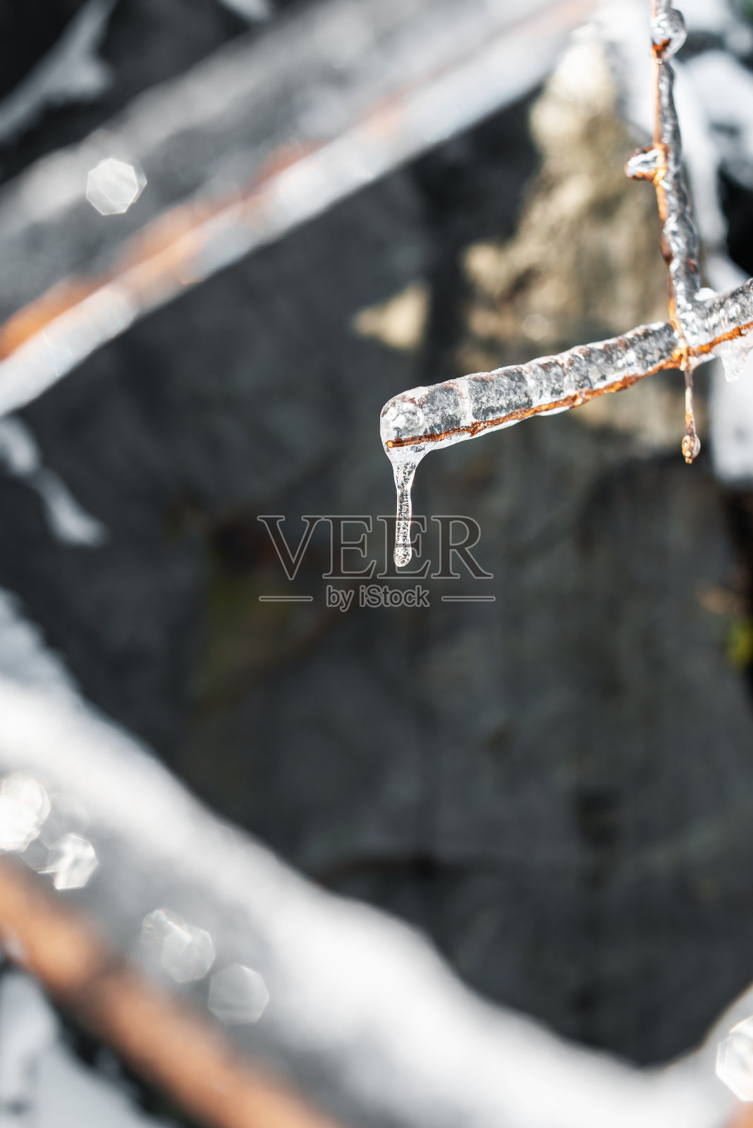 树枝上有闪闪发光的冰和冰柱。冬天的场景。照片摄影图片