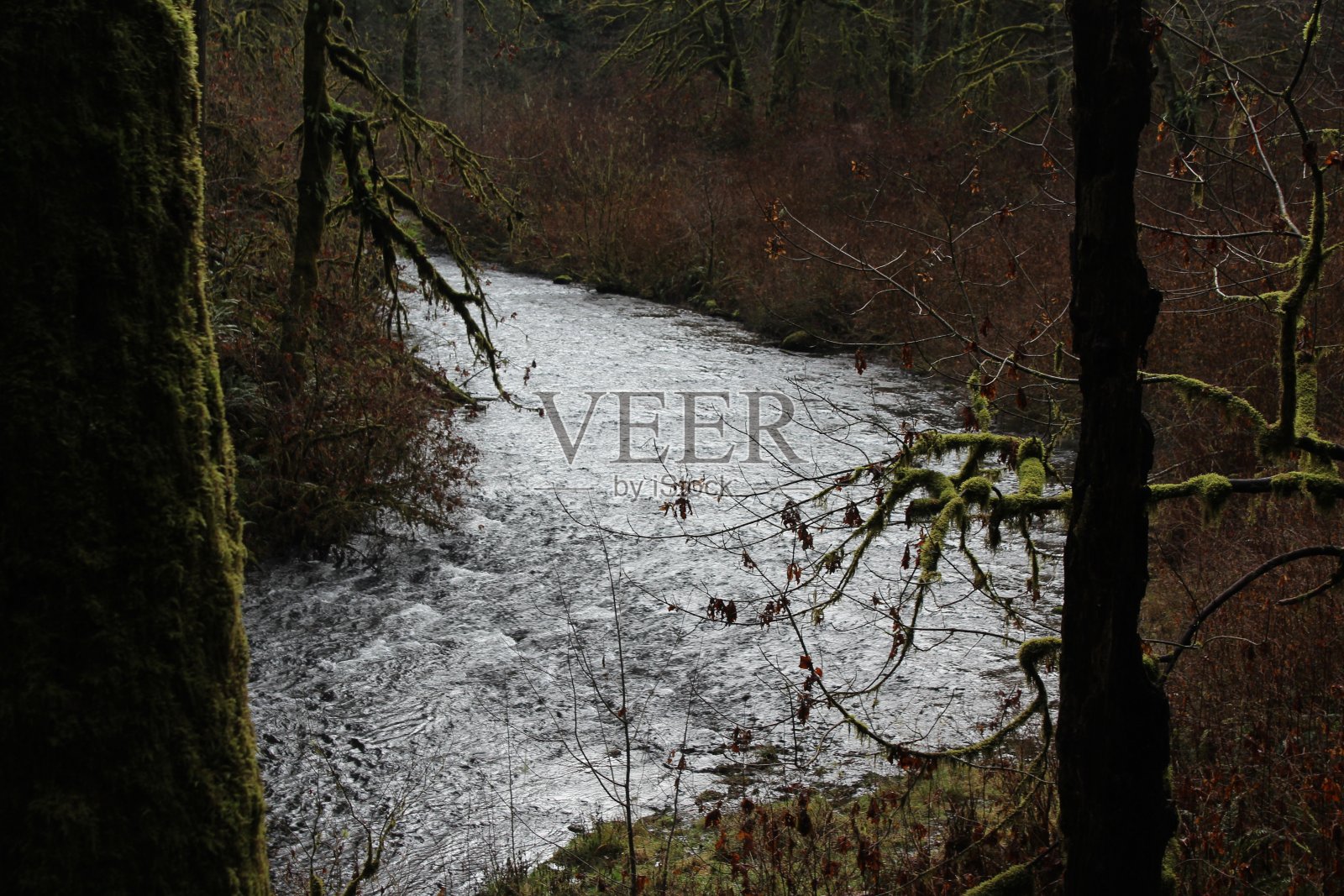 银瀑布瀑布和自然保护区照片摄影图片