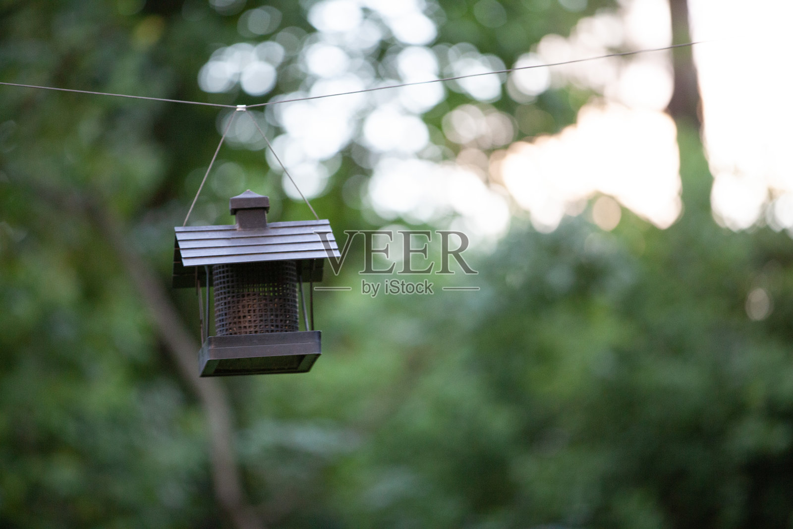 喂鸟器照片摄影图片