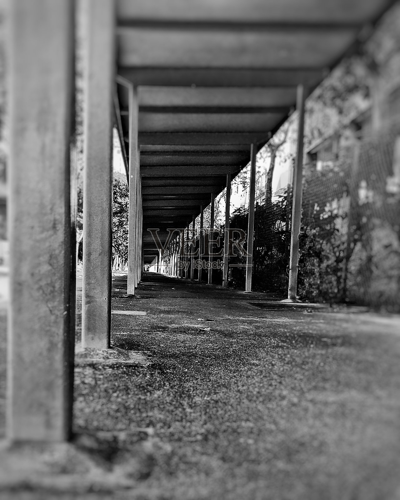 日常的路面照片摄影图片