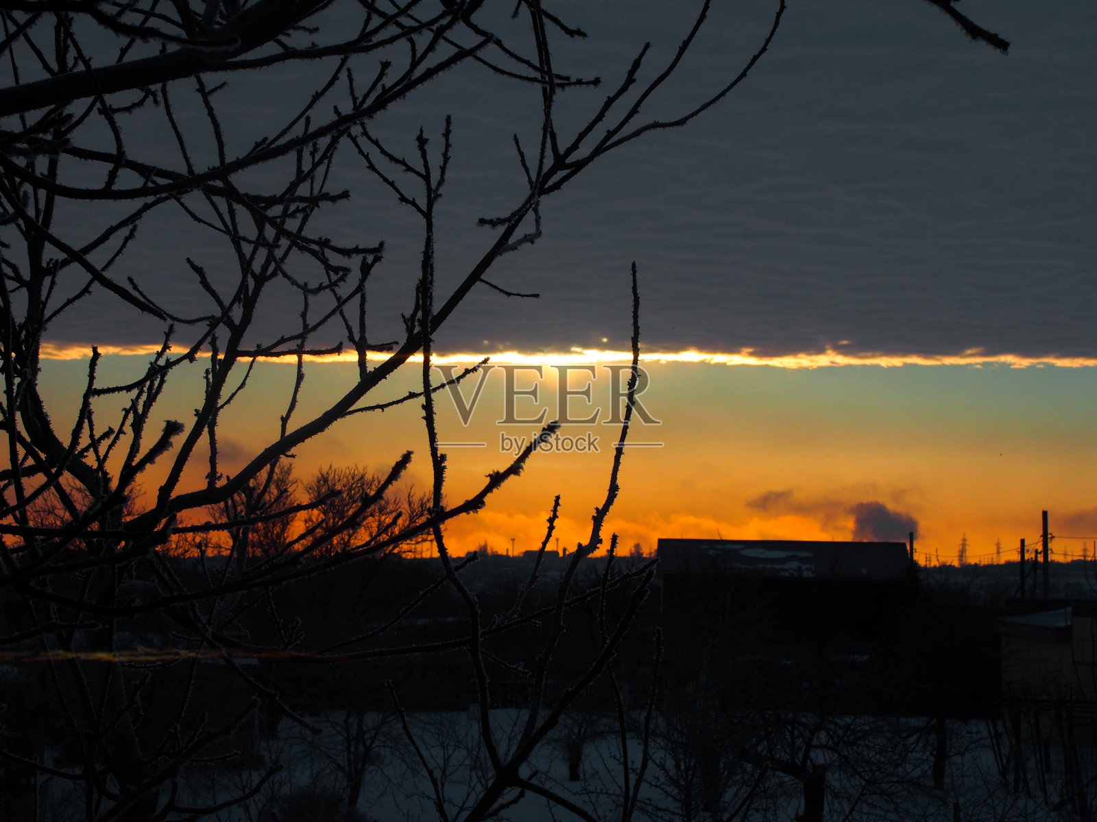冬天的清晨有霜照片摄影图片