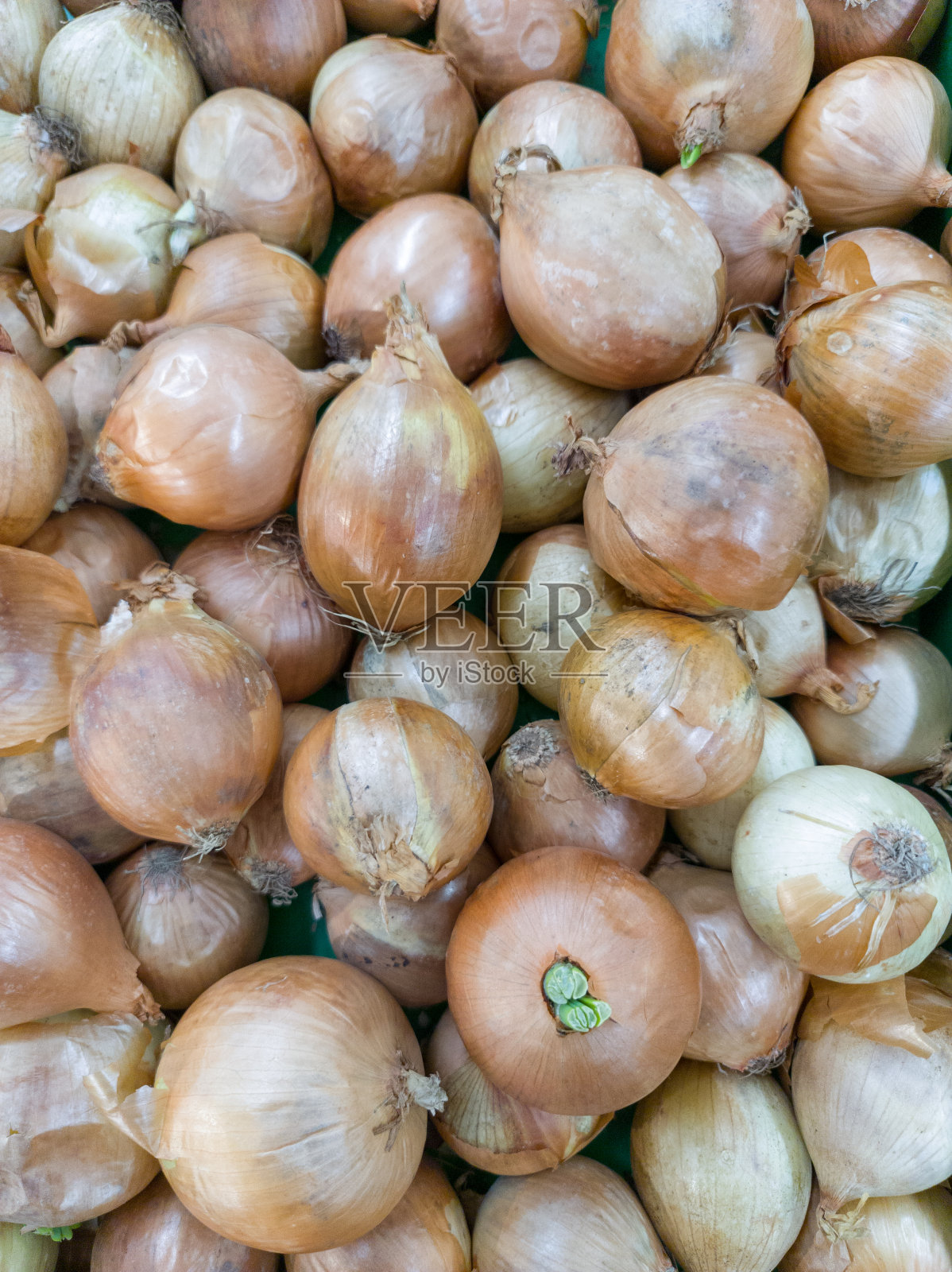 超市里的新鲜洋葱照片摄影图片