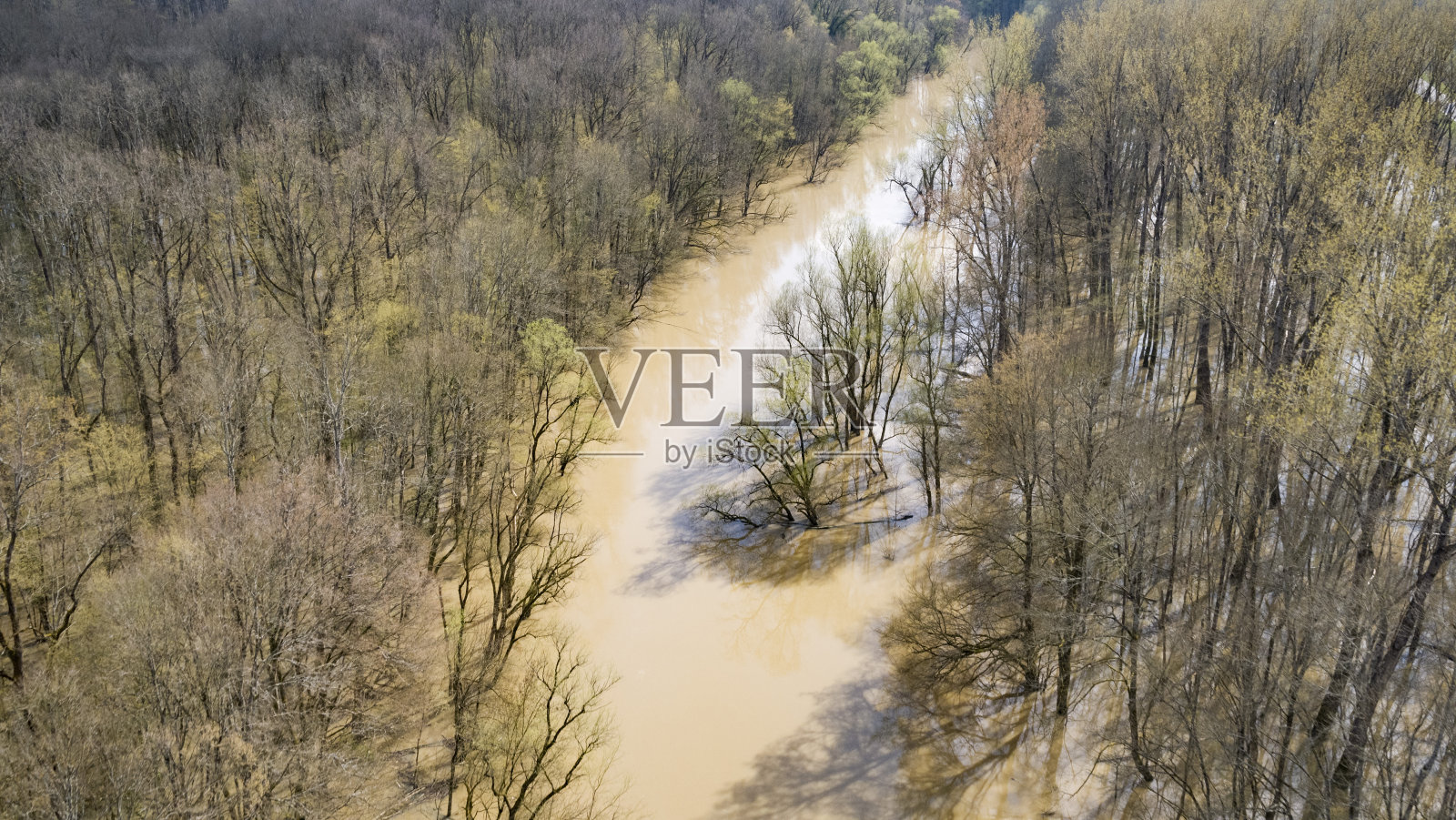 克罗地亚隆伊斯科波列洪水期间的洪泛林和隆雅河照片摄影图片