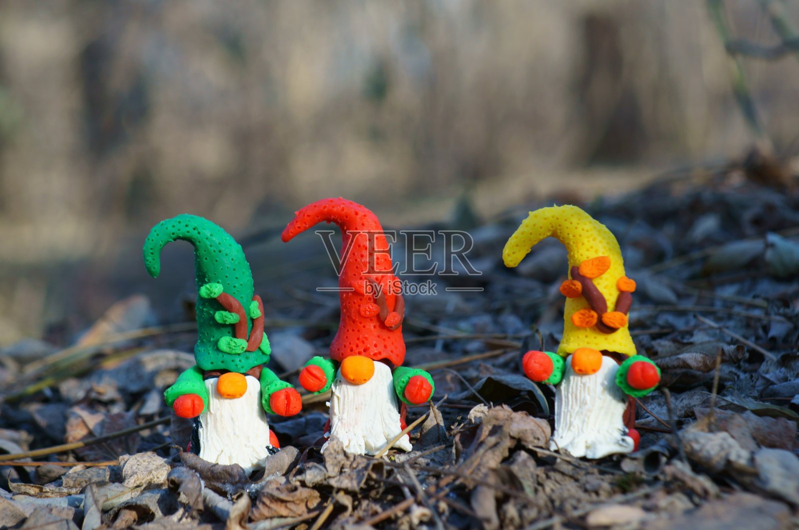 森林里的三个小矮人。照片摄影图片