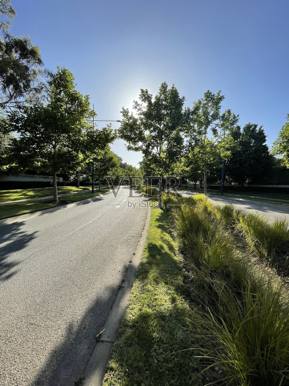 桑德赫斯特散步照片摄影图片