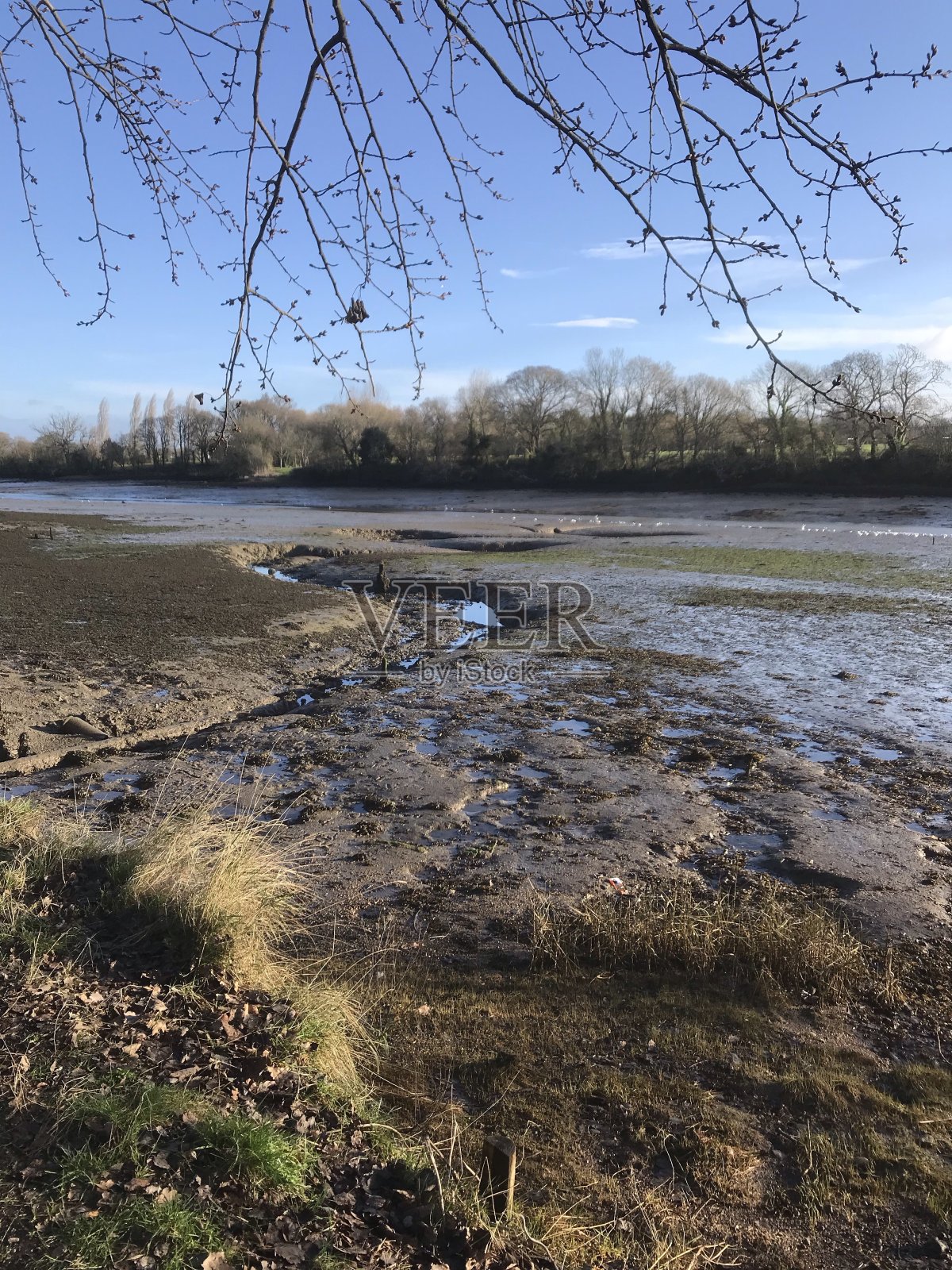 在怀特岛漫步探索大自然照片摄影图片