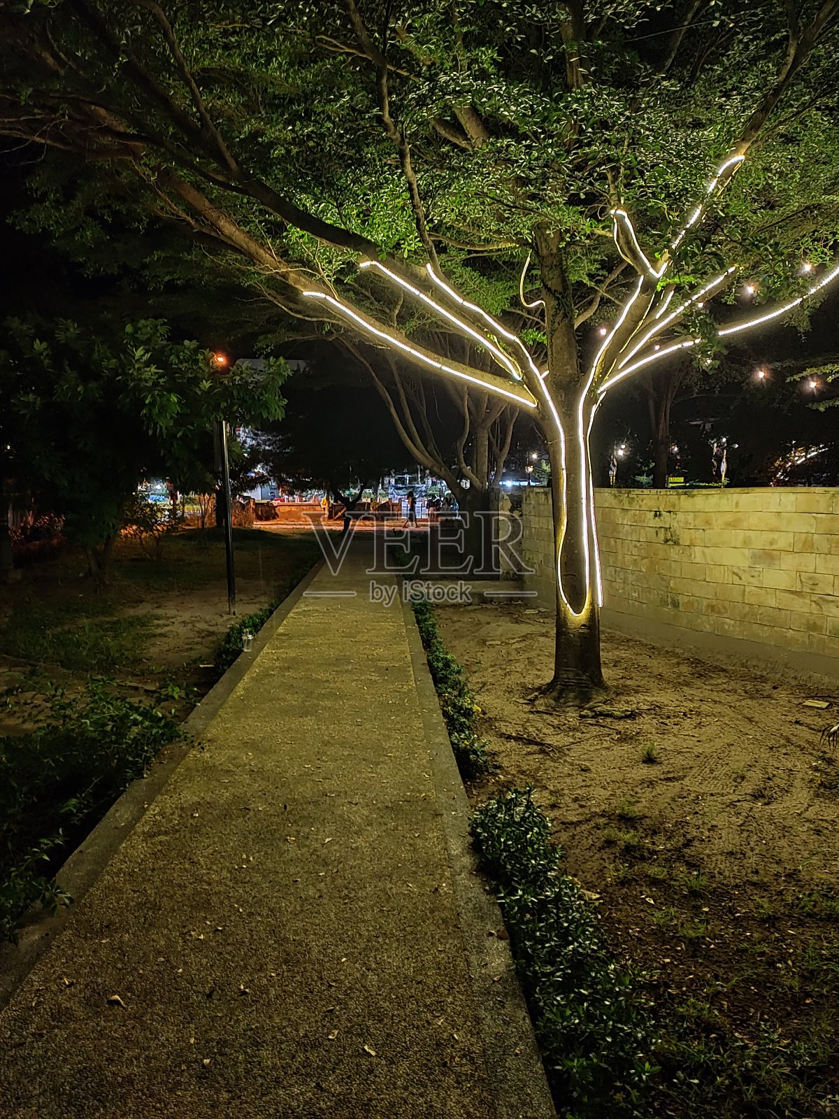 晚上的城市公园照片摄影图片