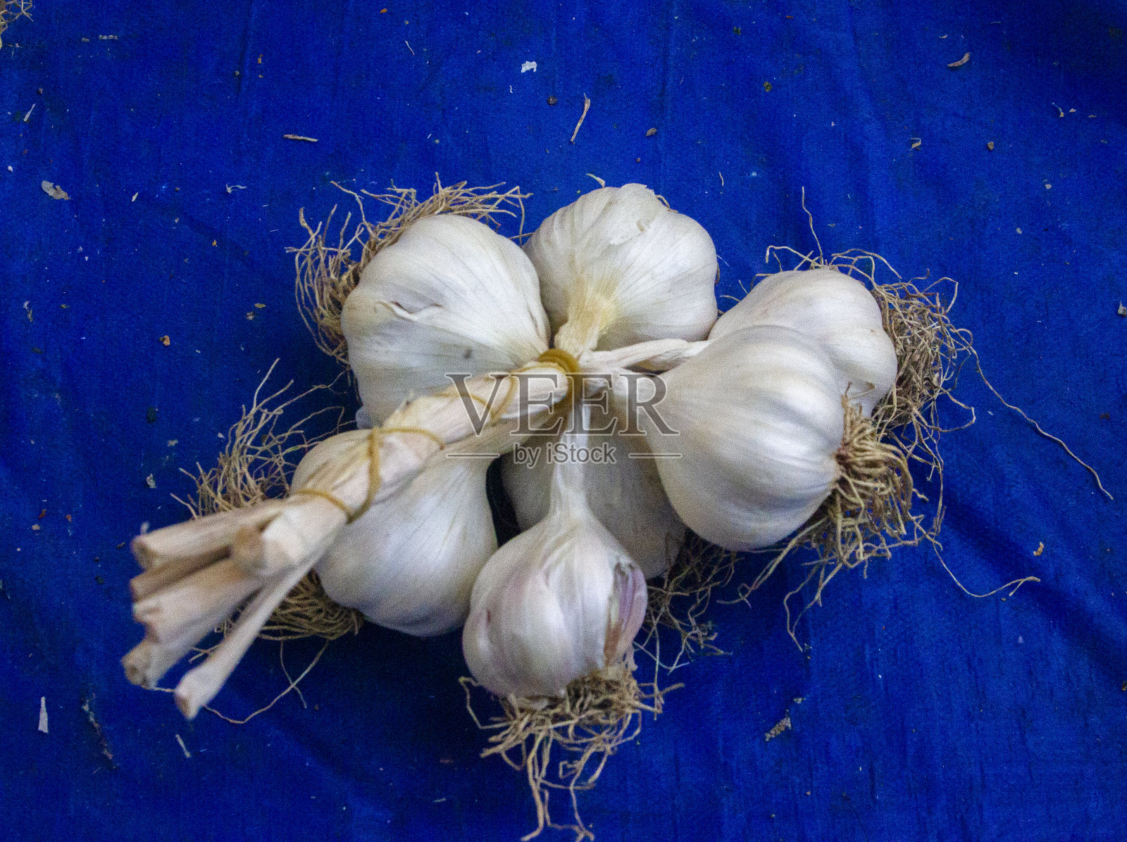 大蒜照片摄影图片