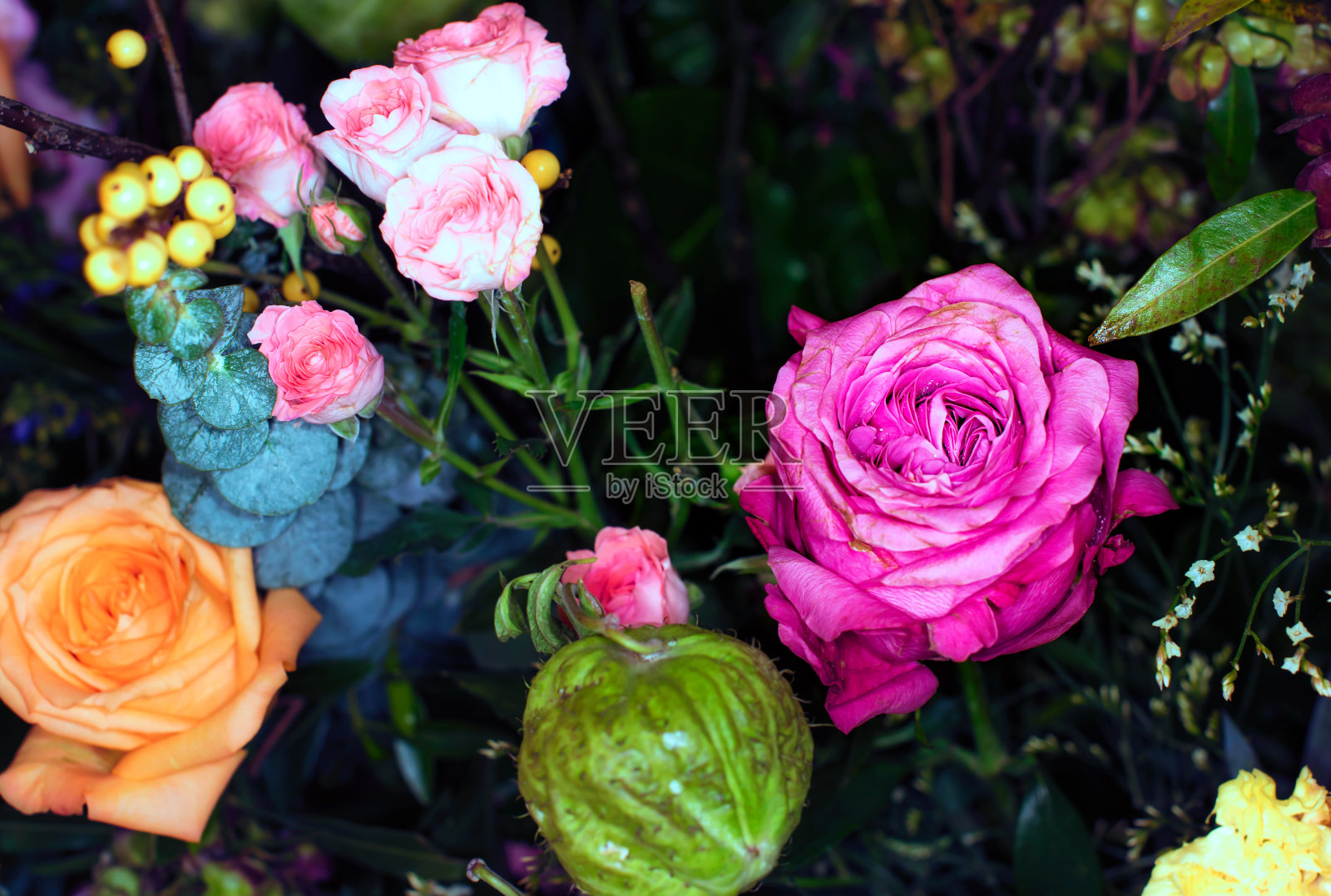 一个混合玫瑰花束的特写，夏日鲜花的背景。照片摄影图片
