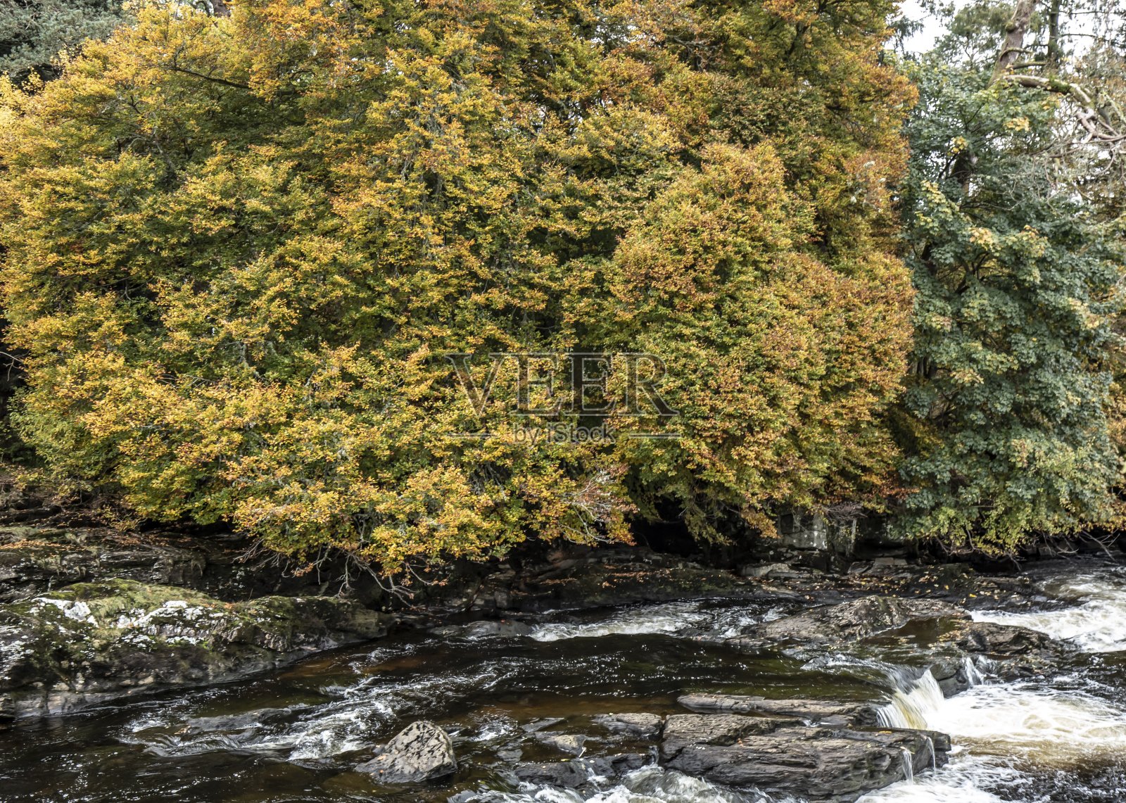 多查特瀑布:秋天。照片摄影图片