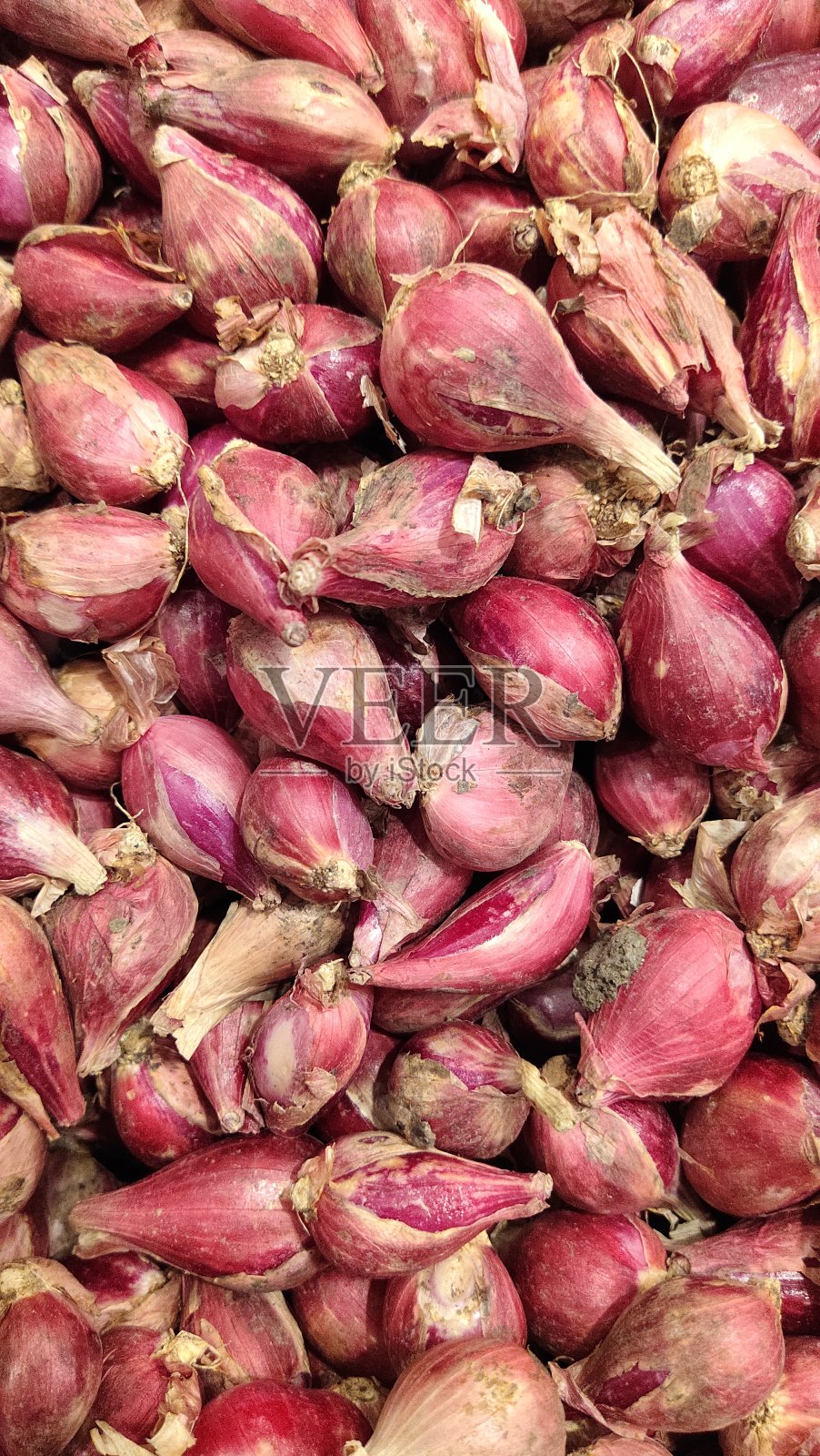 成分照片摄影图片