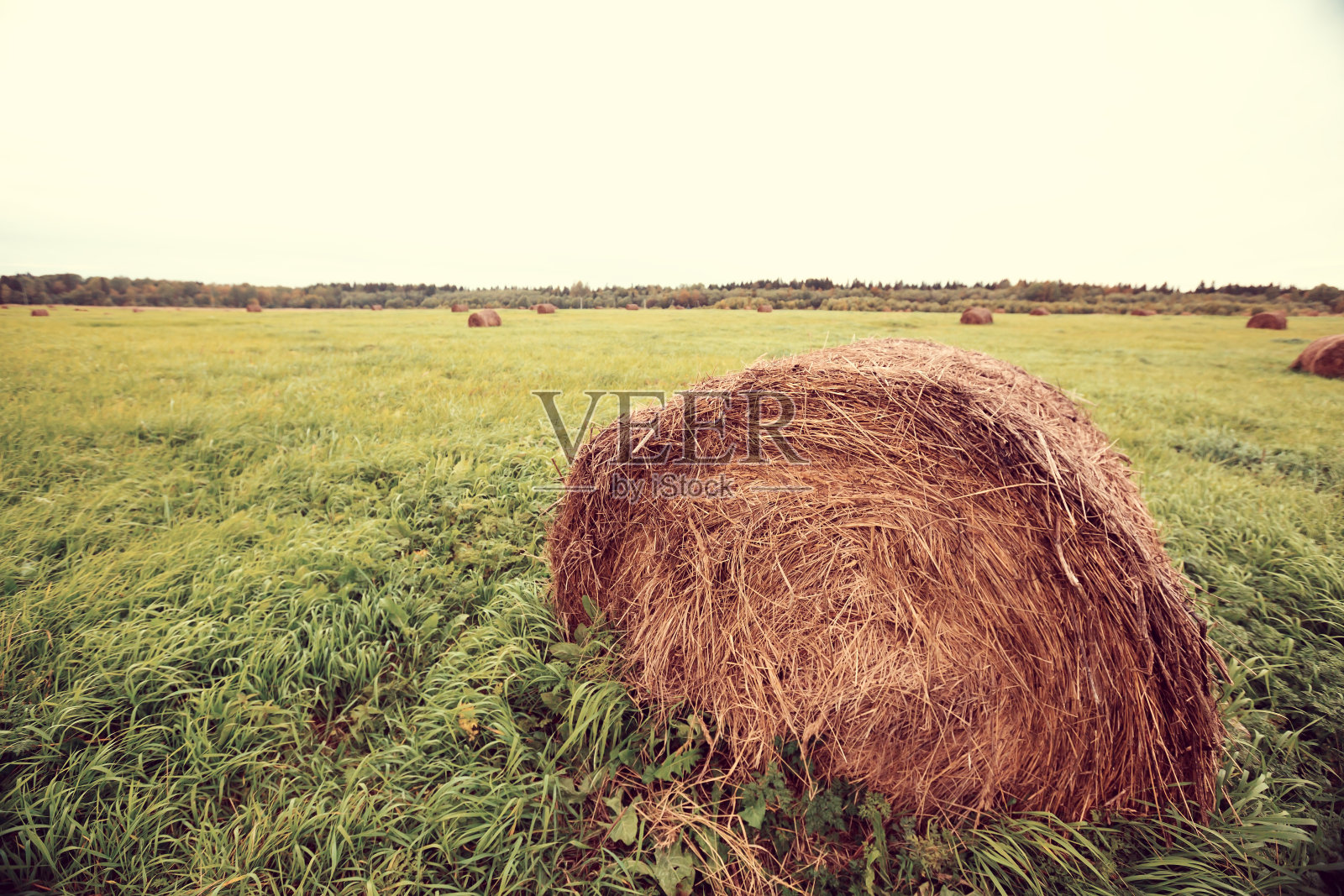 秋天有干草堆的农田照片摄影图片