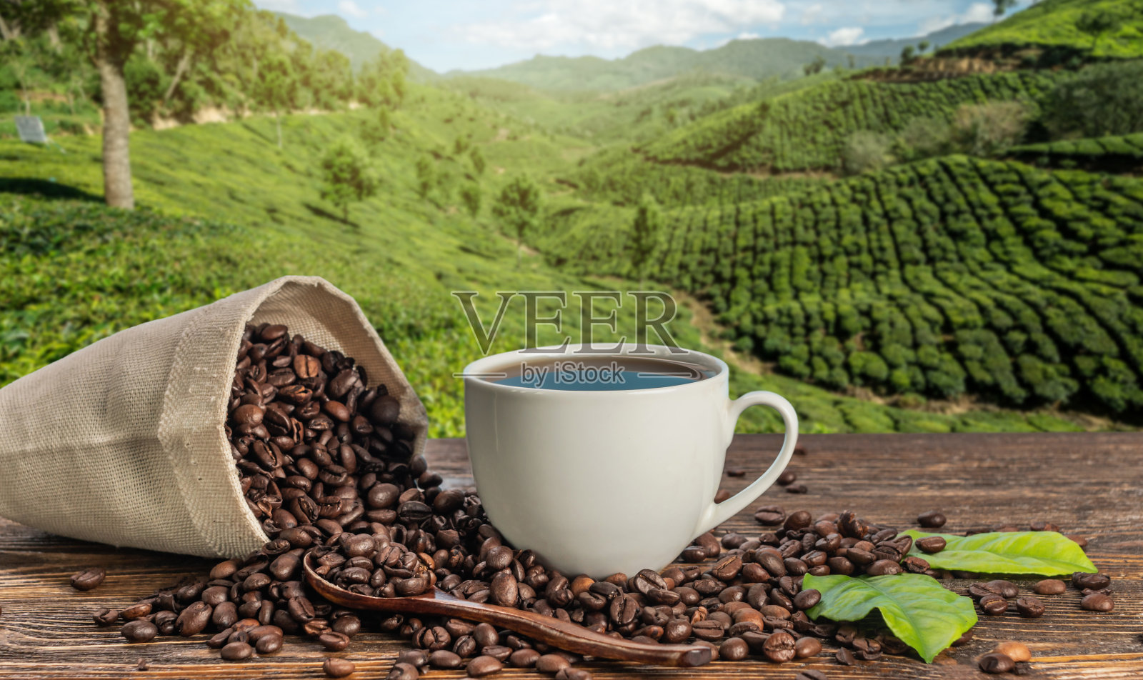 桌上放着一杯新鲜的咖啡和烤好的咖啡豆，背景是山上的咖啡种植园照片摄影图片