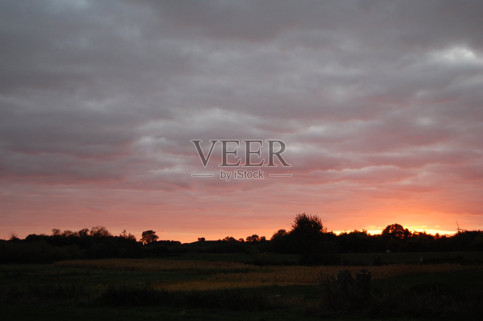 太阳正落在草地的树木后面。照片摄影图片