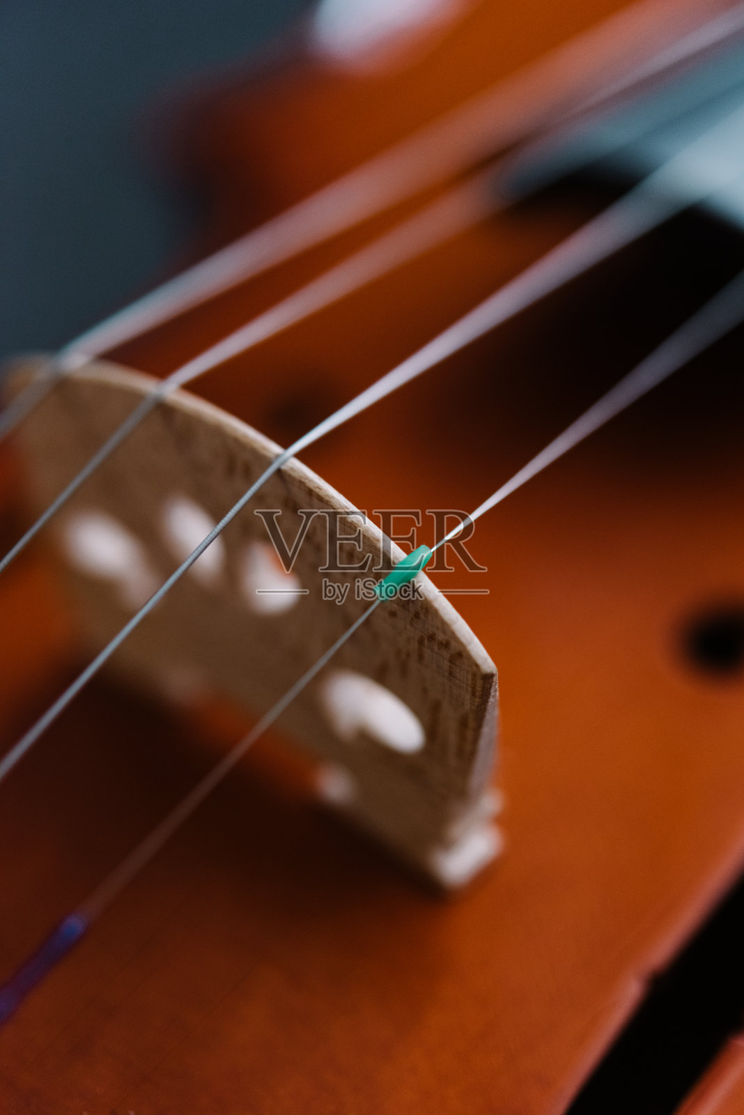 小提琴照片摄影图片