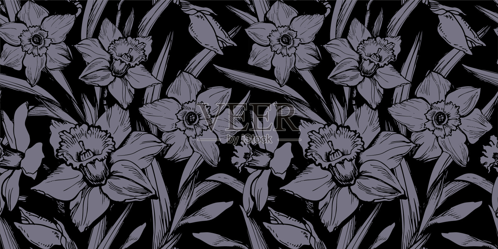 植物无缝模式与水仙花和叶的剪影。插画图片素材