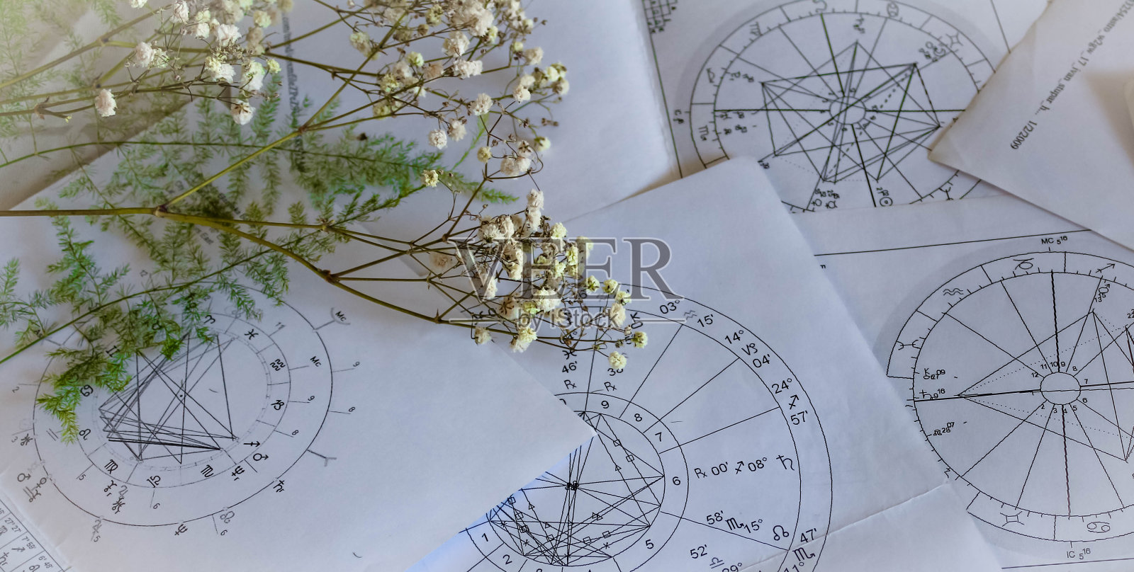 一张桌子上印着星象图，上面有黄色的小花和脆弱的绿色植物枝条，上面是年岁和新年的星象背景照片摄影图片