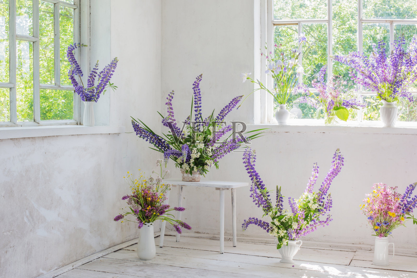 白色复古室内装饰着鲜花照片摄影图片