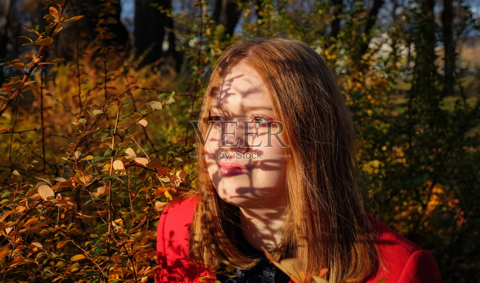 红头发的女孩用树枝的阴影遮住了她的脸，秋天的心情概念，自然色彩缤纷的背景。有选择性的重点照片摄影图片