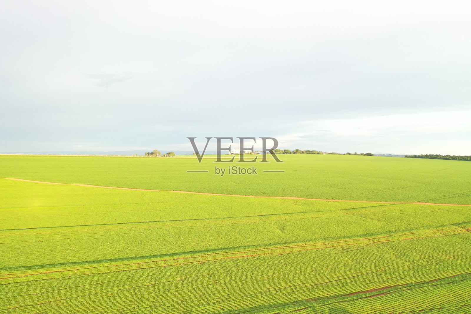 这是São巴西圣保罗州农业的航拍图片照片摄影图片